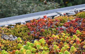 the cost of Bishops Stortford green roof installation