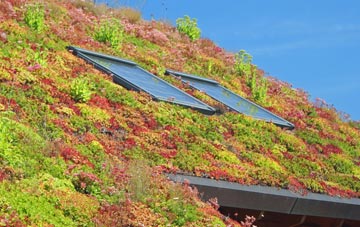 Bishops Stortford living roof systems