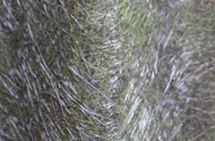 Bishops Stortford fibreglass roof work